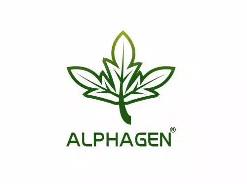 alphagen-網頁設計案例